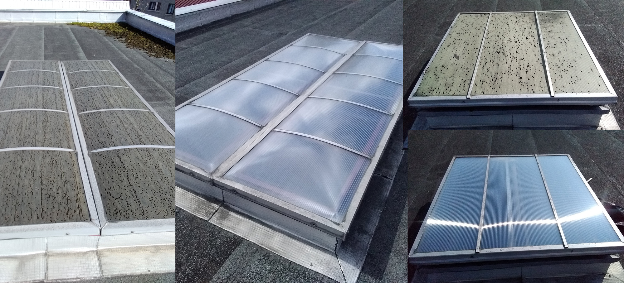 Remplacement de polycarbonates sur lanterneaux sur toiture local commercial Val-de-Marne