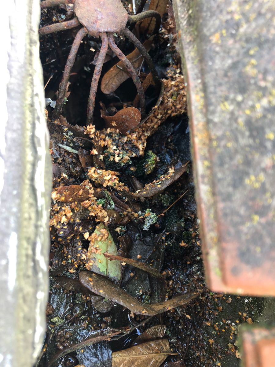 Modification des évacuations d'eau fluviales par les équipe d'Astrali - IDF